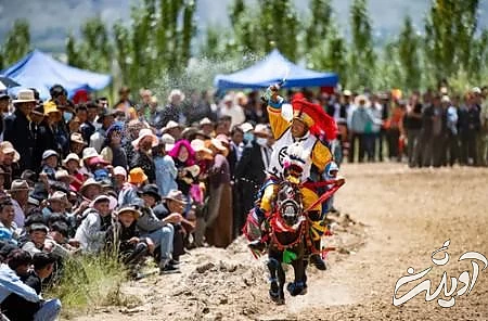 عکسهای جالب,عکسهای جذاب,اسب سواری